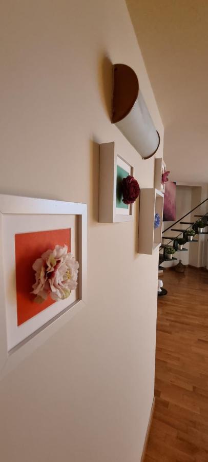 Leonardo Home Caserta Exteriör bild